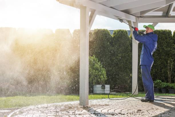 Best Roof Washing  in Grayson Vley, AL